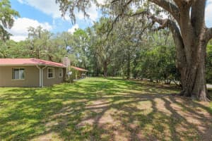 4010 7TH AVENUE ROAD, OCALA, FL 34471 - MLS#MFROM701355