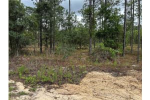 TBD FOXGLOVE LANE, DUNNELLON, FL 34431 - MLS#MFROM701394