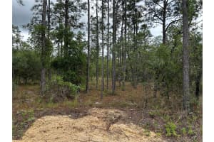 TBD FOXGLOVE LANE, DUNNELLON, FL 34431 - MLS#MFROM701394