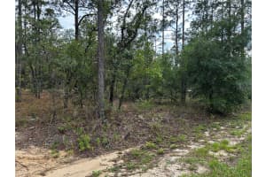TBD FOXGLOVE LANE, DUNNELLON, FL 34431 - MLS#MFROM701394