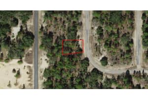 6682 SAND DRIVE, DUNNELLON, FL 34433 - MLS#MFROM701398