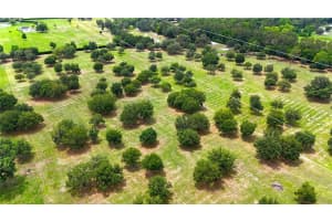 451 80TH STREET, OCALA, FL 34480 - MLS#MFROM701401
