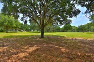 451 80TH STREET, OCALA, FL 34480 - MLS#MFROM701401