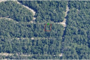 928 PANAMA DRIVE, CITRUS SPRINGS, FL 34434 - MLS#MFROM701408