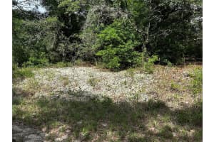 TBD UPLANDS AVENUE, DUNNELLON, FL 34431 - MLS#MFROM701417