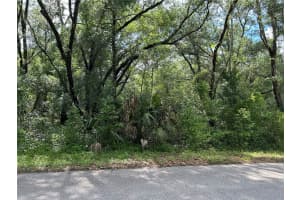 TBD UPLANDS AVENUE, DUNNELLON, FL 34431 - MLS#MFROM701417