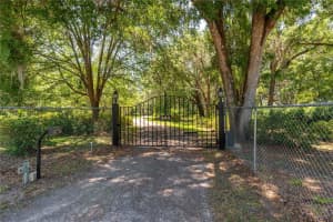 943 S COUNTY ROAD 21, HAWTHORNE, FL 32640 - MLS#MFROM701436