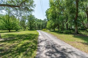 943 S COUNTY ROAD 21, HAWTHORNE, FL 32640 - MLS#MFROM701436