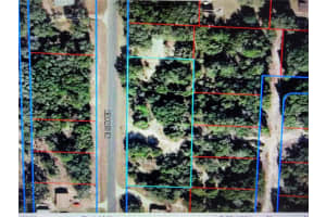 0 137TH TERRACE, WILLISTON, FL 32696 Sold 06/23/25