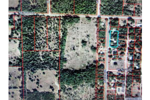 0 137TH TERRACE, WILLISTON, FL 32696 Sold 06/23/25