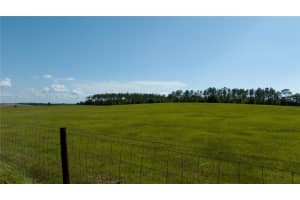 00 SE 220TH AVE, DUNNELLON, FL 34431 - MLS#MFROM701533