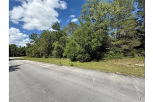 88TH AVE, OCALA, FL 34473 - MLS#MFROM701539