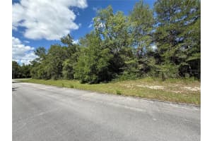 88TH AVE, OCALA, FL 34473 - MLS#MFROM701539