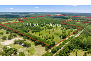 651 195TH AVENUE, WILLISTON, FL 32696 Sold 08/14/25