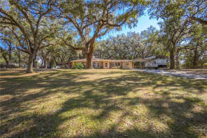 3299 County Road 521, WILDWOOD