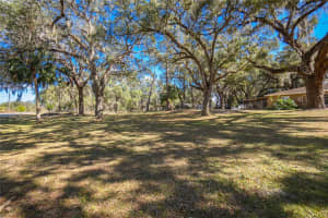 3299 COUNTY ROAD 521, WILDWOOD, FL 34785 - MLS#MFROM701666