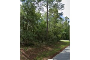 SW 178TH TER, DUNNELLON, FL 34432 - MLS#MFROM701738