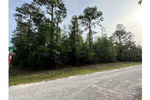 SW 178TH TER, DUNNELLON, FL 34432 - MLS#MFROM701738