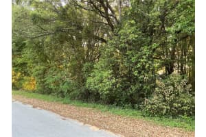 0 PINE TRACE COURSE, OCALA, FL 34472 Sold 07/11/25