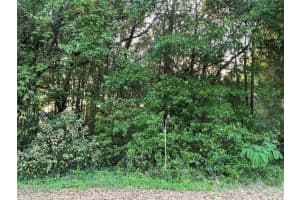 0 PINE TRACE COURSE, OCALA, FL 34472 Sold 07/11/25