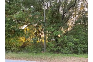 0 PINE TRACE COURSE, OCALA, FL 34472 Sold 07/11/25