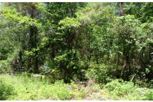 00 82 COURT, OCALA, FL 34482 Sold 07/17/25