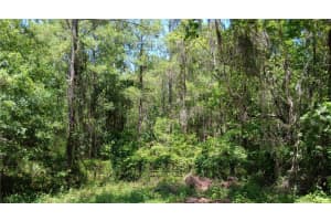 0 82 COURT, OCALA, FL 34482 Sold 07/17/25