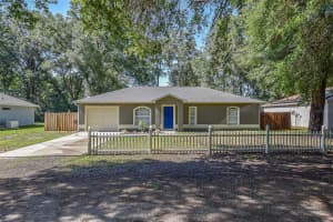 3065 142ND LANE, SUMMERFIELD, FL 34491 - MLS#MFROM701821