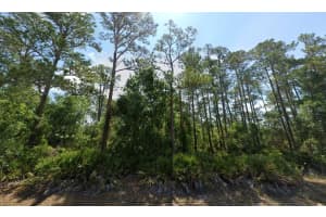 6506 BURKETT AVENUE, SEBRING, FL 33875 Sold 06/06/25