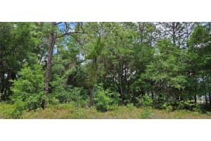 TBD 52ND AVENUE, OCALA, FL 34482 - MLS#MFROM701929
