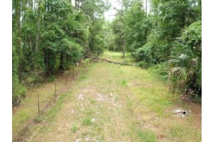 TBD 105TH STREET, FORT MC COY, FL 32134 - MLS#MFROM701931