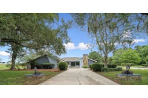 451 IRELAND COURT, HERNANDO, FL 34442 - MLS#MFROM702004