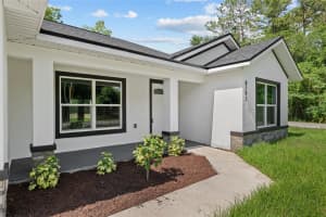 8293 158TH STREET, SUMMERFIELD, FL 34491 - MLS#MFROM702055