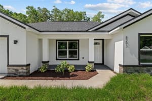 8293 158TH STREET, SUMMERFIELD, FL 34491 - MLS#MFROM702055