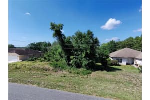 OLIVE RD, OCALA, FL 34472 - MLS#MFROM702102