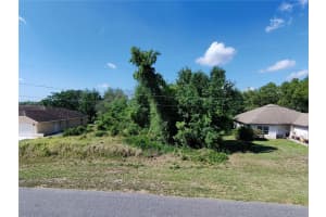 OLIVE RD, OCALA, FL 34472 - MLS#MFROM702102