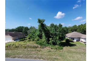 OLIVE RD, OCALA, FL 34472 - MLS#MFROM702102