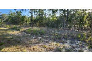 Lots 6 and 7 HILLCREST AVENUE, DUNNELLON, FL 34431 - MLS#MFROM702113