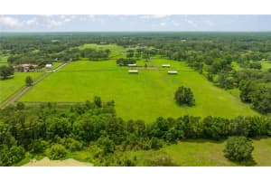 4209 110TH AVENUE, OCALA, FL 34482 - MLS#MFROM702156