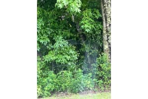 TBA SW MARINE BLVD, DUNNELLON, FL 34431 - MLS#MFROM702164