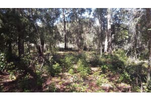 13231 BISSELL DRIVE, PUNTA GORDA, FL 33955 - MLS#MFROM702189