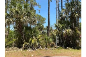 LUTZ RD, NORTH PORT, FL 34286 Sold 06/17/25
