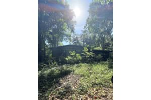 3553 Ne 162nd Pl, CITRA 3553 Ne 162nd Pl, CITRA