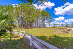 8651 83RD LOOP, OCALA, FL 34481 - MLS#MFROM702220