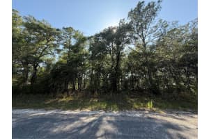 10578 ALLWOOD TERRACE, CITRUS SPRINGS, FL 34434 Sold 08/29/25