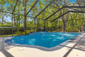 200 145TH STREET, SUMMERFIELD, FL 34491 - MLS#MFROM702333