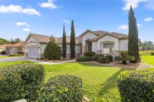 13015 93RD CIRCLE, SUMMERFIELD, FL 34491 - MLS#MFROM702339