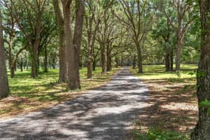 9450 150TH AVENUE, MORRISTON, FL 32668 - MLS#MFROM702344