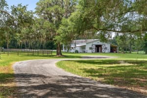 9450 150TH AVENUE, MORRISTON, FL 32668 - MLS#MFROM702344