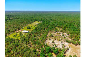 TBD W HWY 328, DUNNELLON, FL 34432 - MLS#MFROM702348